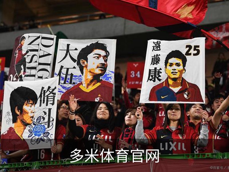 多米体育官网概况